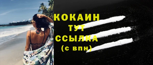 шишки Покачи
