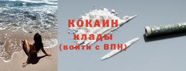шишки Покачи