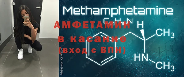 шишки Покачи