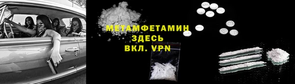 шишки Покачи