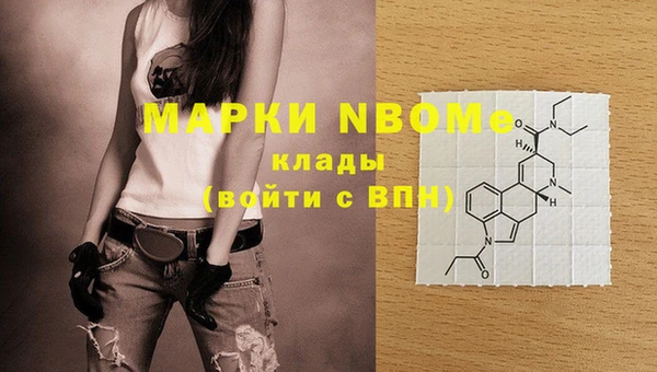 шишки Покачи