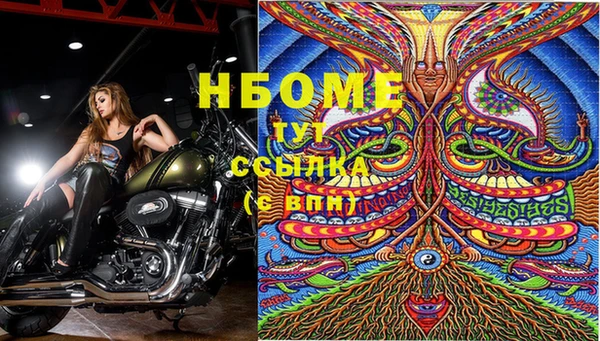 шишки Покачи