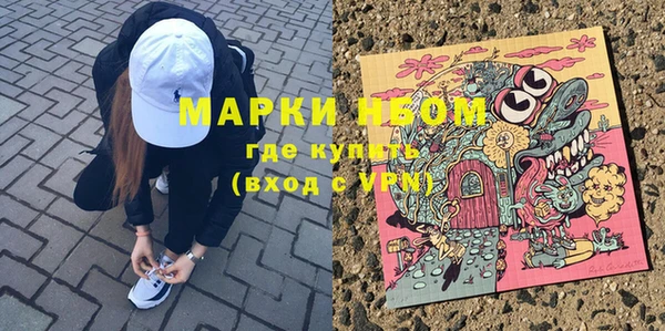 шишки Покачи