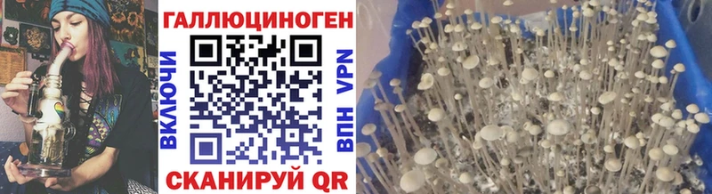 Галлюциногенные грибы мухоморы  Богданович 