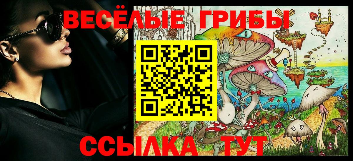 Галлюциногенные грибы Cubensis  Вход с VPN  Богданович 