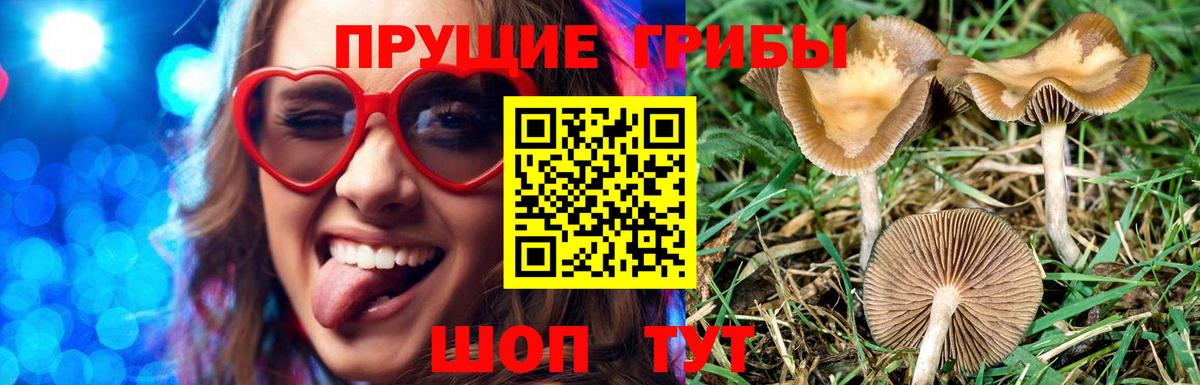 Псилоцибиновые грибы мухоморы Богданович