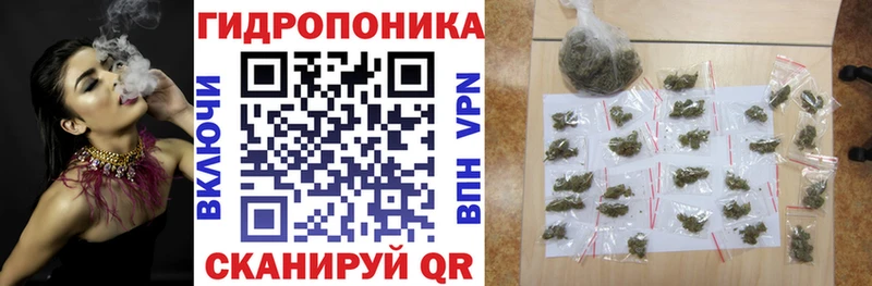 Марихуана сатива Богданович